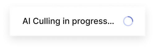 AI culling progress: keep, closed eyes, duplicates